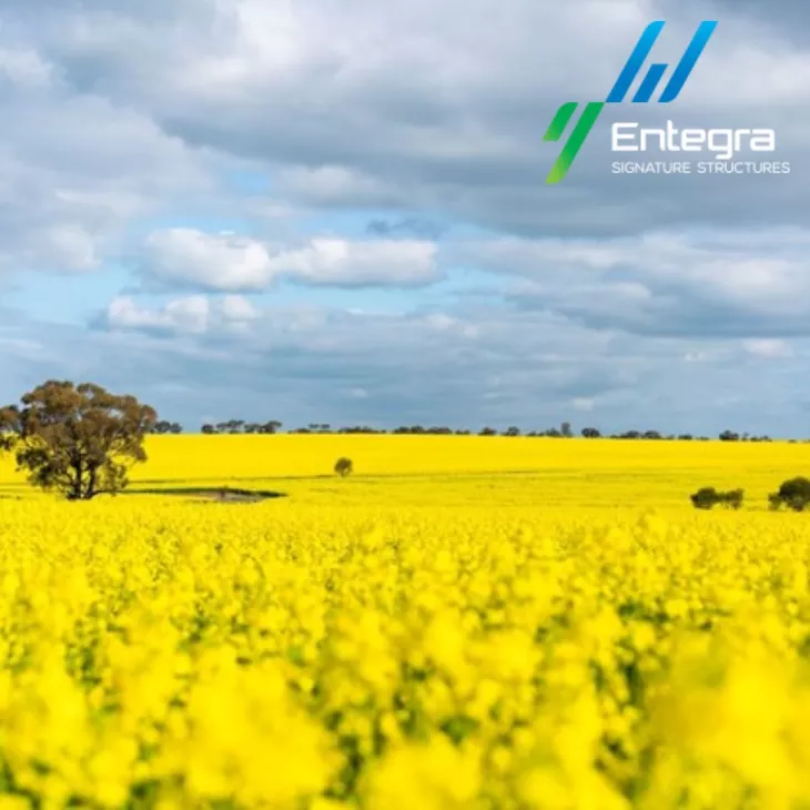 At Entegra, we constantly endeavor to create unique steel structures and sheds for each industry, ensuring the best quality and strong relationships with our clients and suppliers.