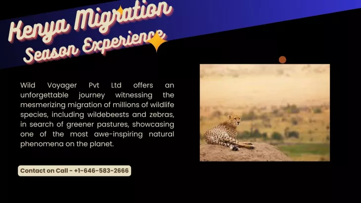 Kenya Migration Season Experience Journey | Wildvoyager 