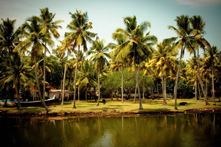 Planning An Unforgettable Kerala Family Adventure Trip From Mumbai