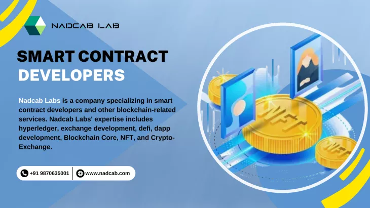  Smart Contract Developer