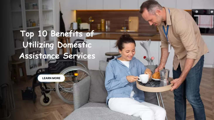 Domestic assistance services