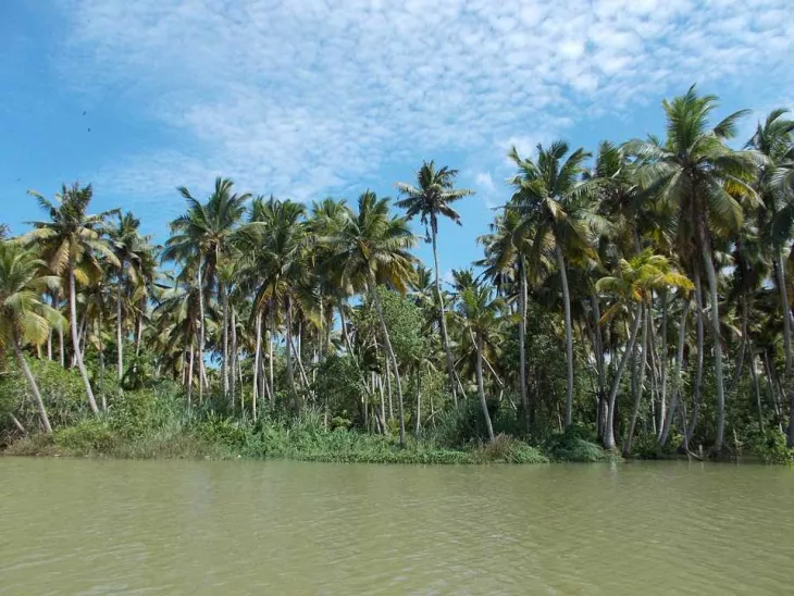 The Best Offbeat Backwaters Experiences In Kerala To Enjoy A Wonderful Time