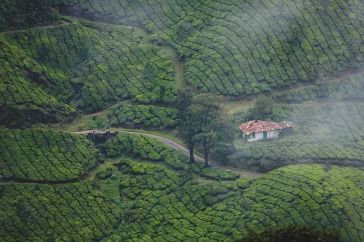 Get To Know What To Do In Kerala Winter Vacations: A Best Travel Guide