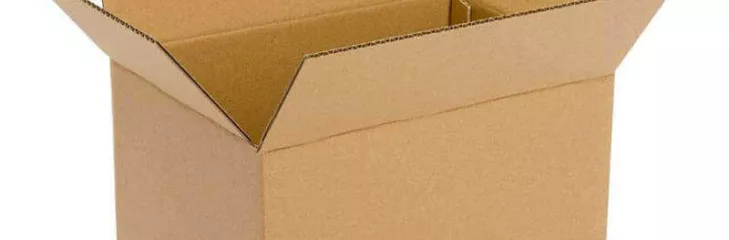 buy carton boxes online