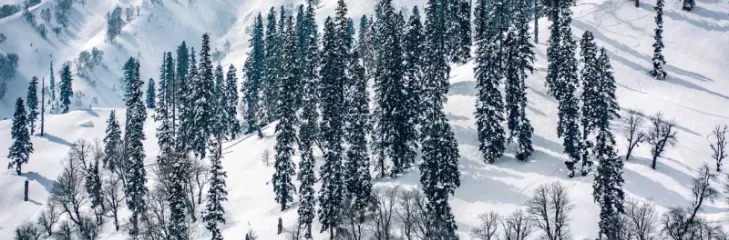 Kashmir: Explore Top Places To Enjoy An Unforgettable Winter Holidays