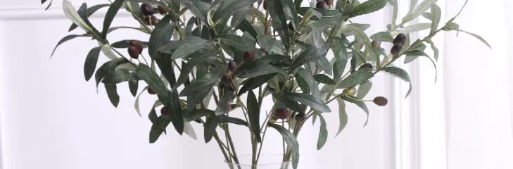 Olive Artificial Branches in UAE