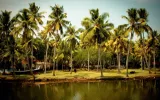 Planning An Unforgettable Kerala Family Adventure Trip From Mumbai