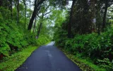 Best resorts in coorg