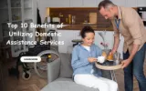 Domestic assistance services