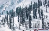 Kashmir: Explore Top Places To Enjoy An Unforgettable Winter Holidays