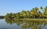Poovar Island Kerala: Explore A Hidden Gem Of South India