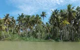 The Best Offbeat Backwaters Experiences In Kerala To Enjoy A Wonderful Time